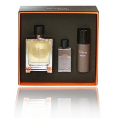 Hermes Terre d'Hermes /мъжки/ Комплект -  edt 100 ml + ShFoam 50 ml + AS Lot 40 ml