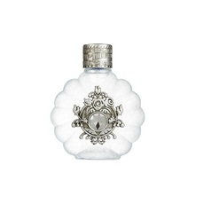 True Religion For Women /for women/ eau de parfum 100 ml (flacon)